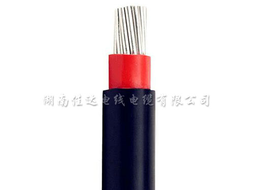小猪视频黄片版本系列