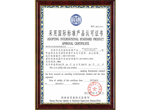 采用国际标准（小猪视频在线观看成人）