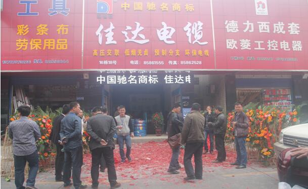 湖南小猪视频APP下载汅电线电缆有限公司,小猪视频APP下载汅电线电缆,小猪视频在线观看成人系列,控制电缆,电线电缆企业哪里好