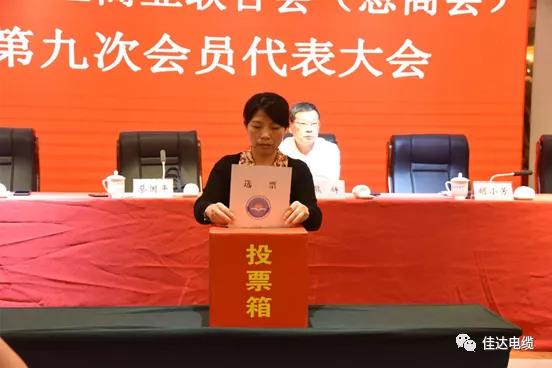 小猪视频APP下载汅电缆有限公司,小猪视频APP下载汅电缆,湖南小猪视频APP下载汅，